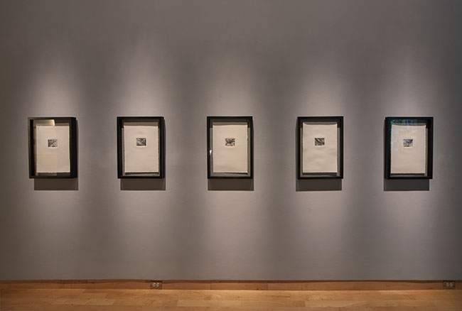 Installation view of Someday You�ll Have To Say It Out Loud: MFA Graduation Exhibition at USF Contemporary Art Museum. Photo: Will Lytch.