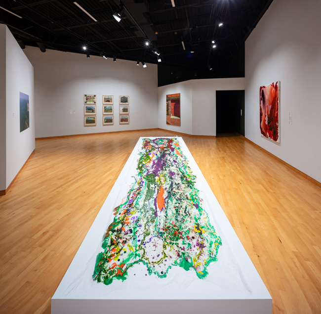 Installation view of Skyway: 12 Ways of Looking at a Landscape at USF Contemporary Art Museum. Photo: Ian Foe.