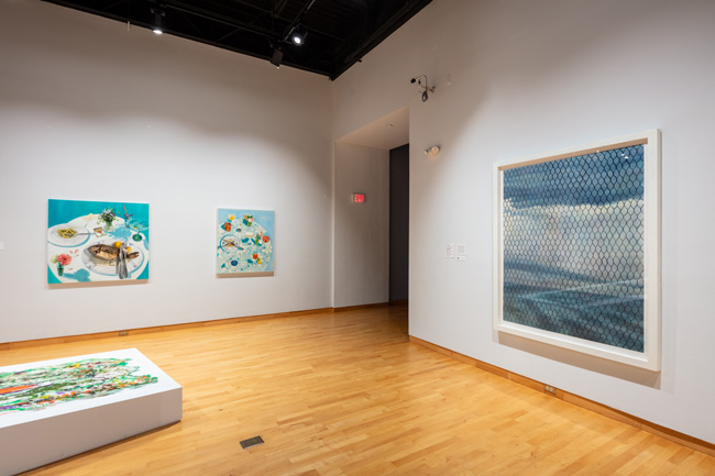 Installation view of Skyway: 12 Ways of Looking at a Landscape at USF Contemporary Art Museum. Photo: Ian Foe.