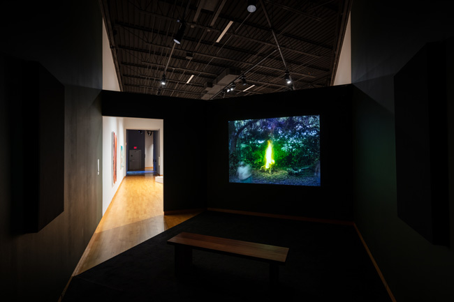 Installation view of Skyway: 12 Ways of Looking at a Landscape at USF Contemporary Art Museum. Photo: Ian Foe.