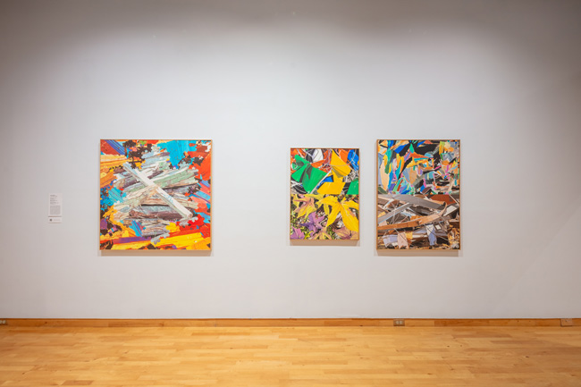 Installation view of Skyway: 12 Ways of Looking at a Landscape at USF Contemporary Art Museum. Photo: Ian Foe.