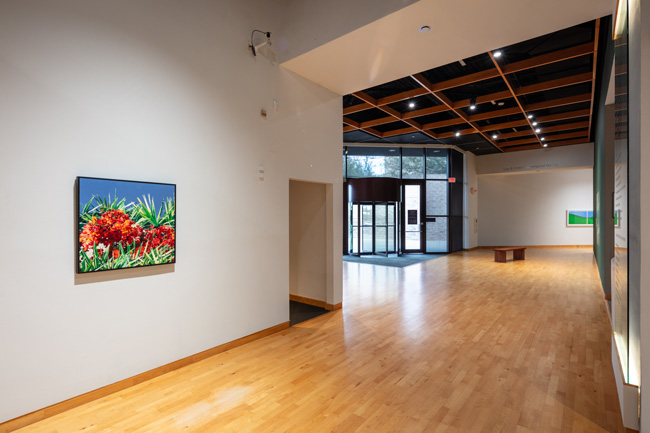 Installation view of Skyway: 12 Ways of Looking at a Landscape at USF Contemporary Art Museum. Photo: Ian Foe.