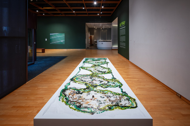 Installation view of Skyway: 12 Ways of Looking at a Landscape at USF Contemporary Art Museum. Photo: Ian Foe.